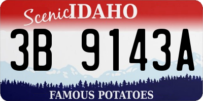 ID license plate 3B9143A