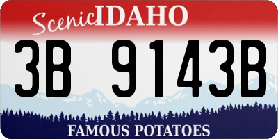 ID license plate 3B9143B