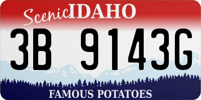 ID license plate 3B9143G