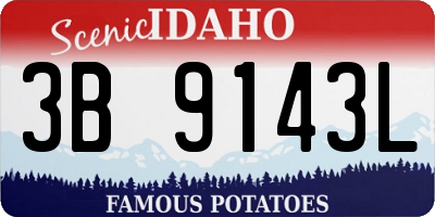 ID license plate 3B9143L