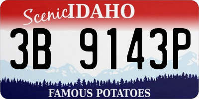 ID license plate 3B9143P