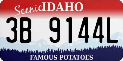 ID license plate 3B9144L