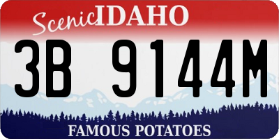 ID license plate 3B9144M