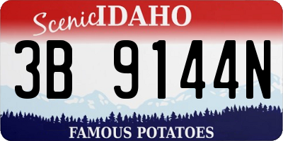 ID license plate 3B9144N