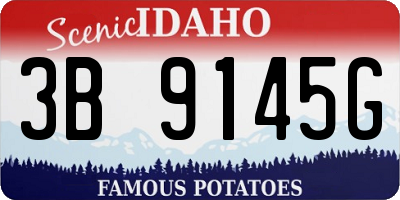 ID license plate 3B9145G