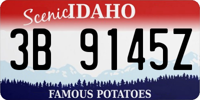 ID license plate 3B9145Z