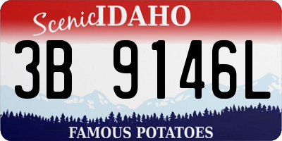 ID license plate 3B9146L