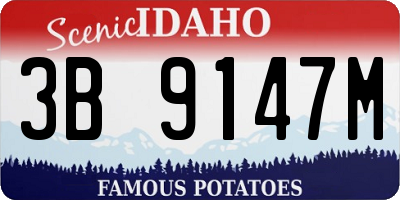 ID license plate 3B9147M