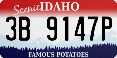 ID license plate 3B9147P
