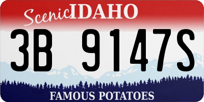 ID license plate 3B9147S
