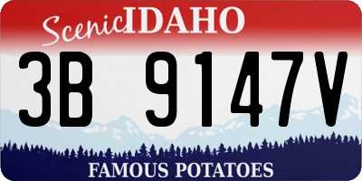 ID license plate 3B9147V