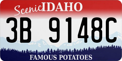 ID license plate 3B9148C