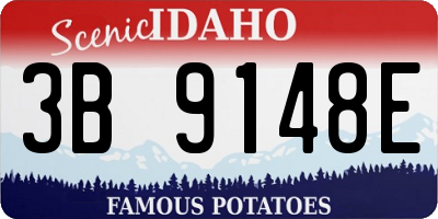 ID license plate 3B9148E