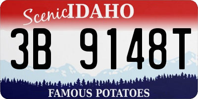 ID license plate 3B9148T