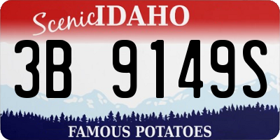 ID license plate 3B9149S