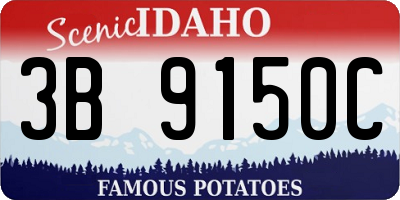 ID license plate 3B9150C