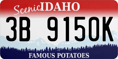 ID license plate 3B9150K