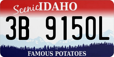 ID license plate 3B9150L
