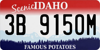 ID license plate 3B9150M