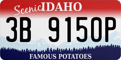 ID license plate 3B9150P