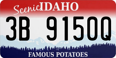 ID license plate 3B9150Q