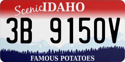 ID license plate 3B9150V