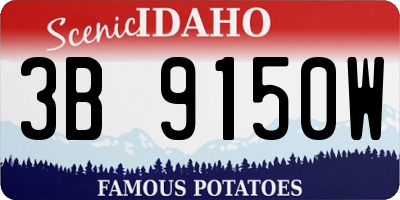 ID license plate 3B9150W