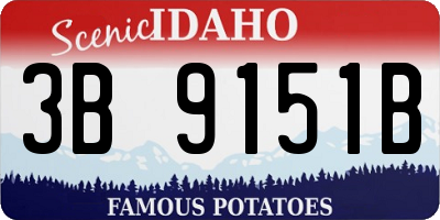 ID license plate 3B9151B