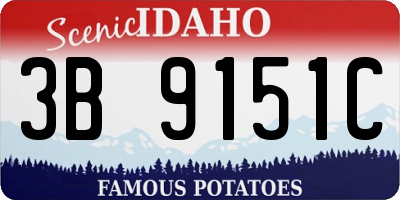 ID license plate 3B9151C