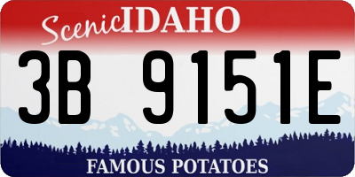 ID license plate 3B9151E