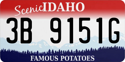 ID license plate 3B9151G