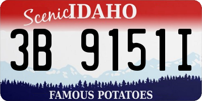 ID license plate 3B9151I