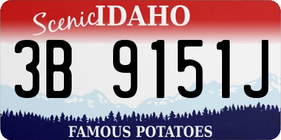 ID license plate 3B9151J