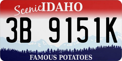 ID license plate 3B9151K