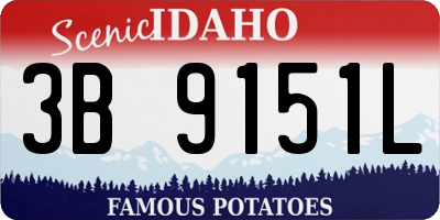ID license plate 3B9151L