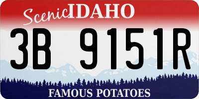 ID license plate 3B9151R