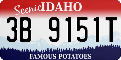 ID license plate 3B9151T