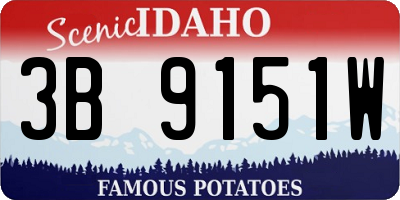 ID license plate 3B9151W
