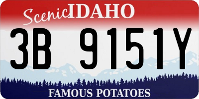 ID license plate 3B9151Y