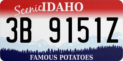 ID license plate 3B9151Z
