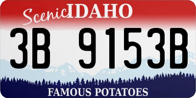 ID license plate 3B9153B