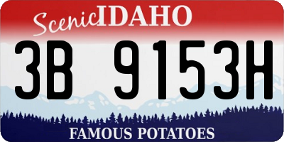 ID license plate 3B9153H