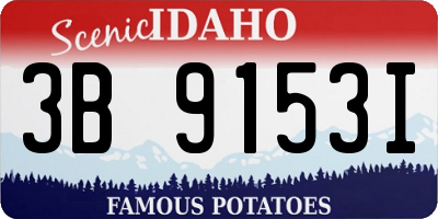 ID license plate 3B9153I