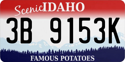 ID license plate 3B9153K
