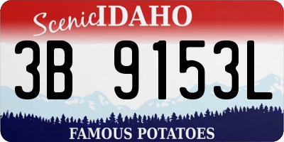 ID license plate 3B9153L