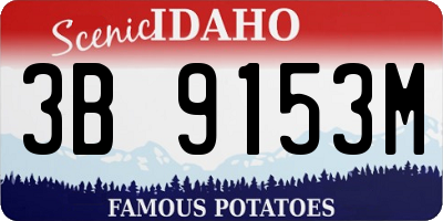 ID license plate 3B9153M