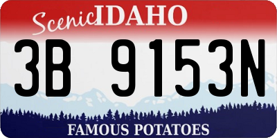 ID license plate 3B9153N