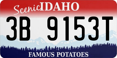 ID license plate 3B9153T
