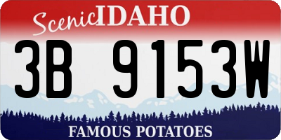 ID license plate 3B9153W