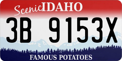 ID license plate 3B9153X